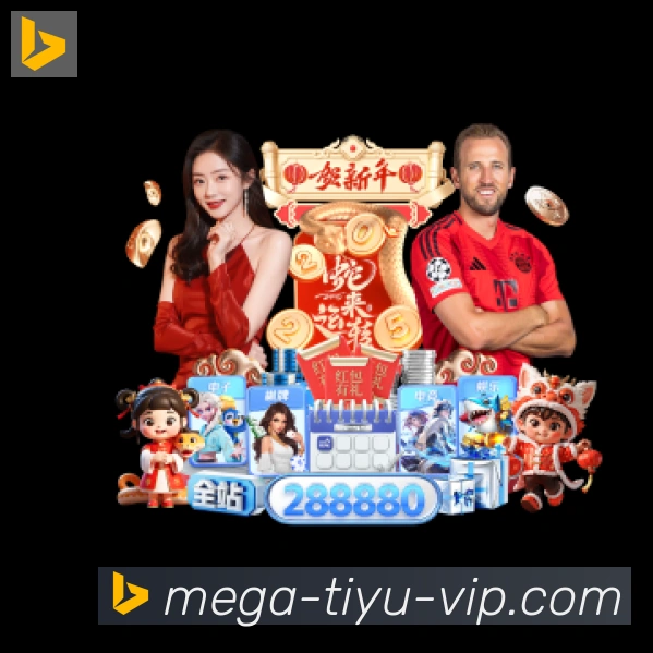 体育数据展示